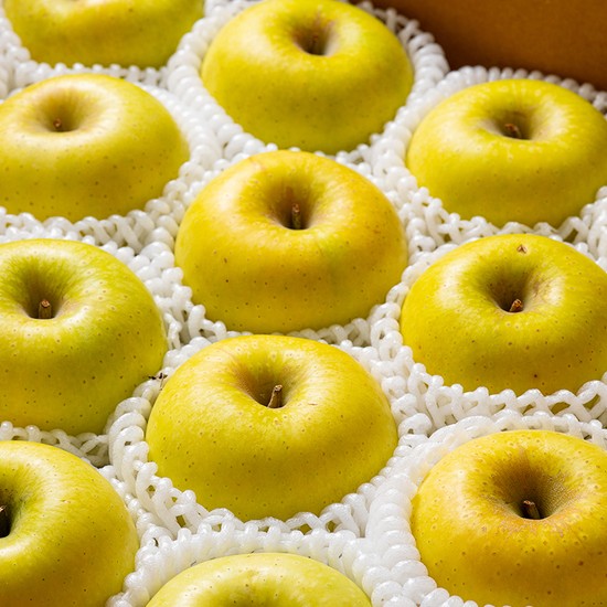 국내산 시나노골드(황금사과) 쥬스용 3kg 6kg 10kg 11,900원