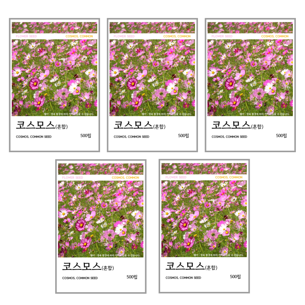새싹바라기 코스모스(혼합) 씨앗 500립, 5개 9,700원
