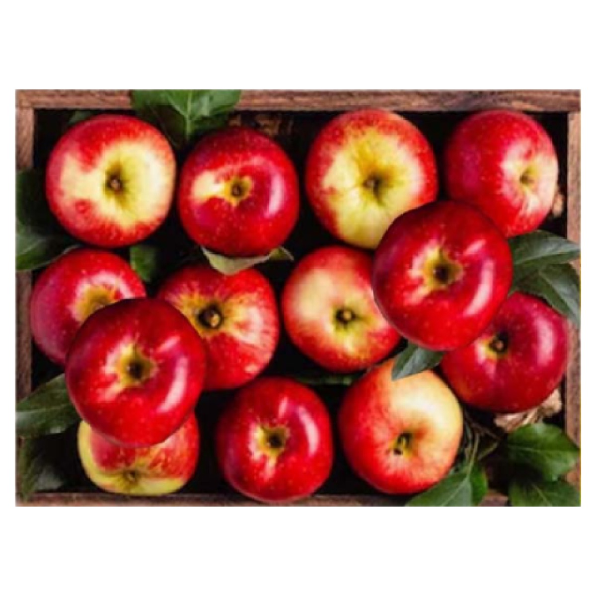 엠제이에스 명화그리기  50x40cm (캔버스형) DIY 유화 세트 15,350원