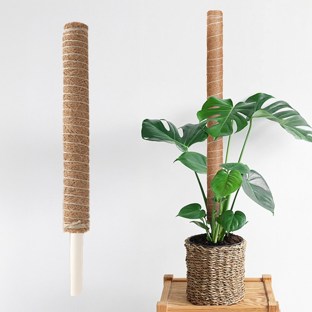 랩앤툴스 코코넛 수태봉 화분지지대 지주대 40cm 1,880원