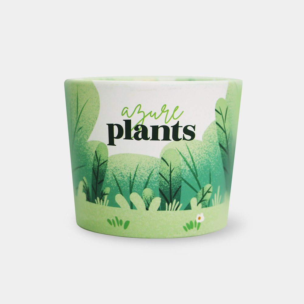 에어홀더 그린숲 500개 1박스 / pet98파이 종이컵 12/16oz용 24,600원