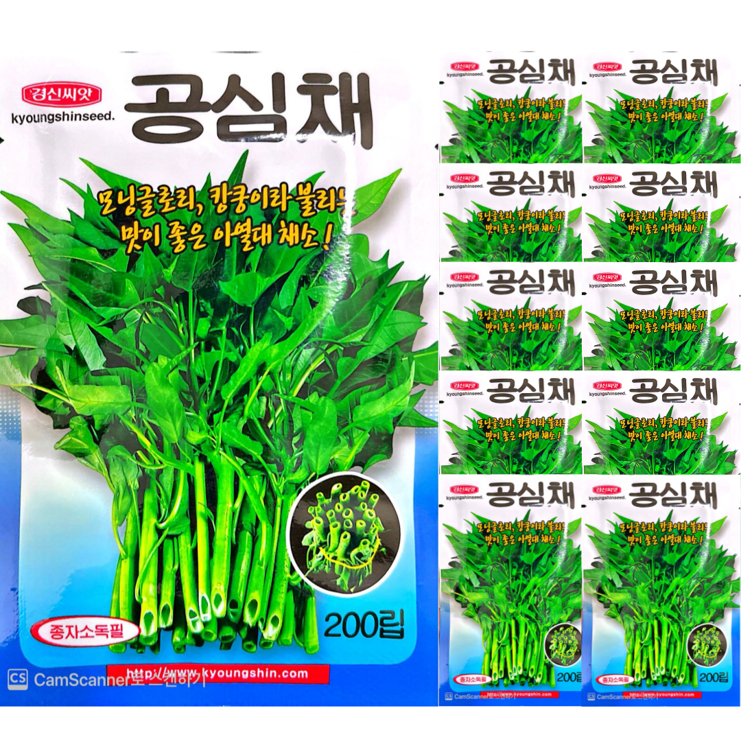 공심채씨앗 모닝글로리 캉쿵씨앗 200립 10봉 + 1봉 삼대씨앗 기획전 28,100원