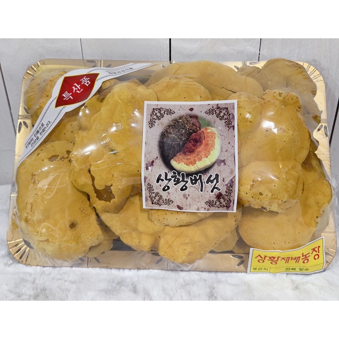 국산 참나무 상황버섯 500g (0.5kg ) 선물세트 145,000원