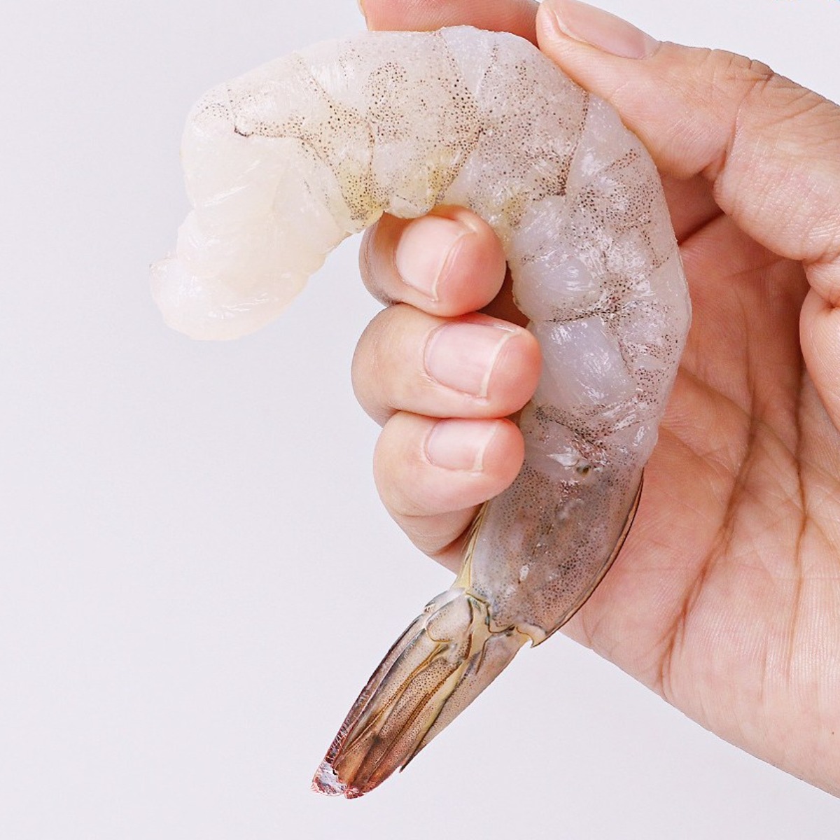 생칵테일새우 특대 900g (40~50미) 감바스용 25,900원