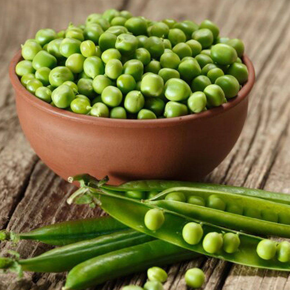 탱글탱글 국내산 햇 완두콩(껍질), 1박스, 완두콩(껍질), 1kg 14,900원