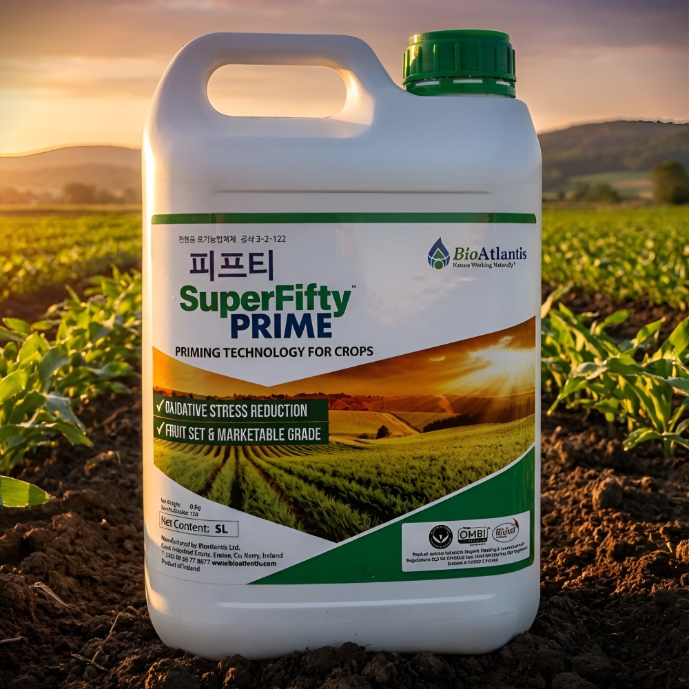 피프티 5리터 대용량 고농도 해조류 50% 당도 비대 저장성 뿌리발육 병해충 냉해 염분 가뭄 스트레스 최소화 260,000원