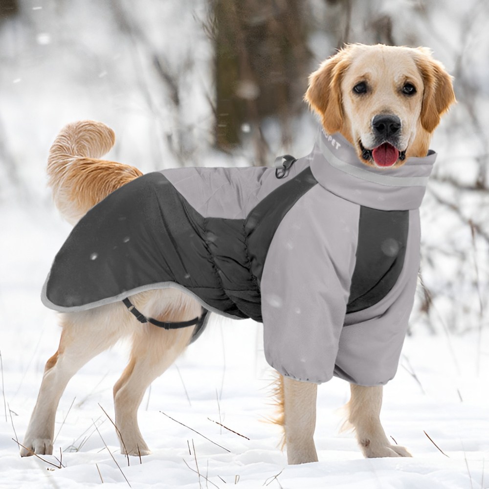 에스엘씨펫 반려견 패딩 올인원 17,820원