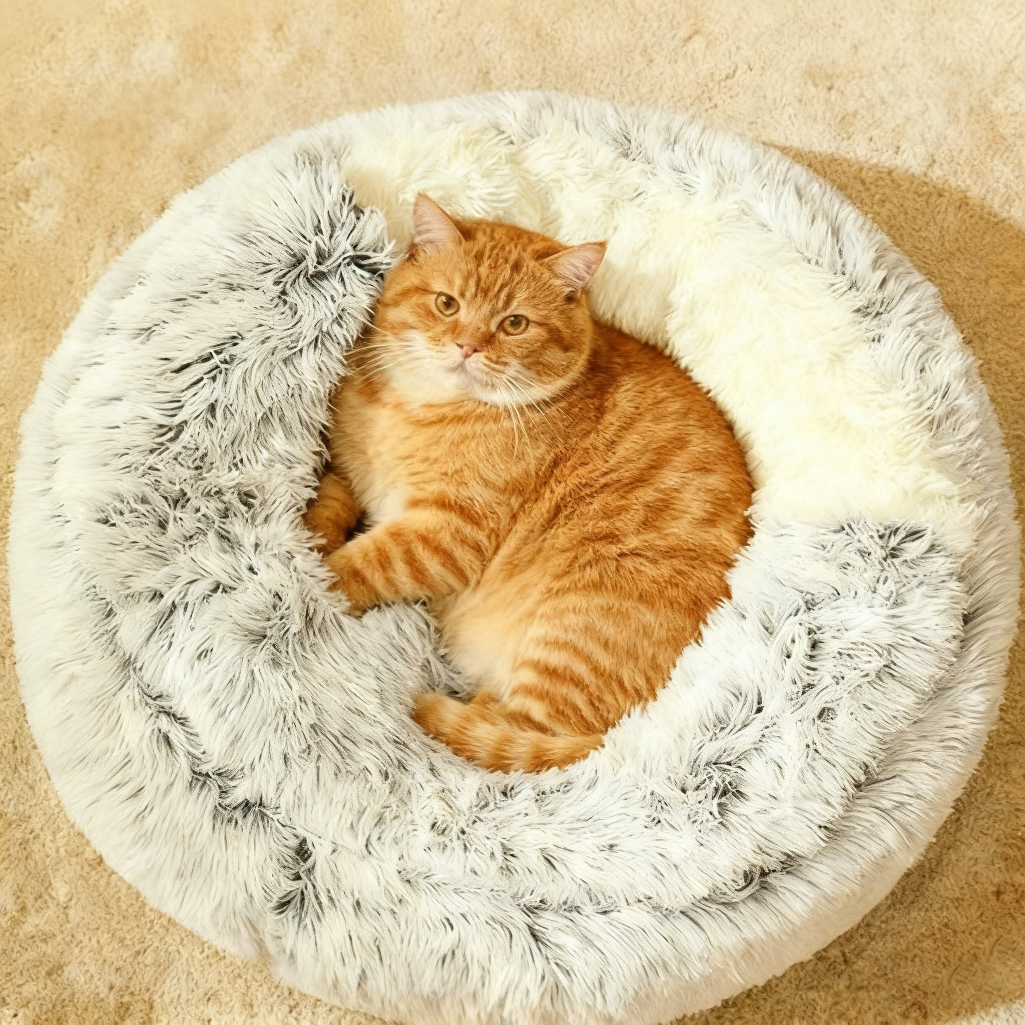 FlySwept 겨울 고양이 숨숨집 조개 고양이 강아지집 19,800원