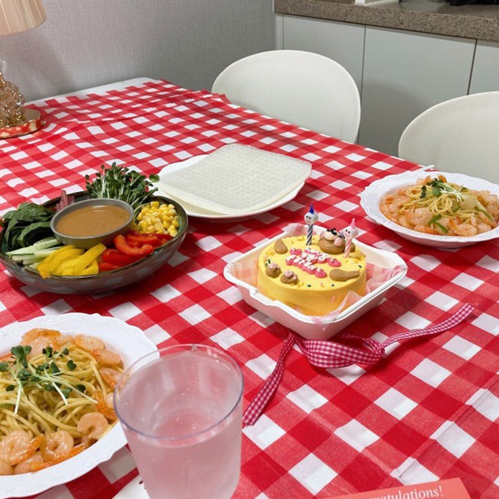 체크 일회용 방수 식탁보 사각 원형 테이블보, 4인용 (130x175cm), 체크레드 8,900원