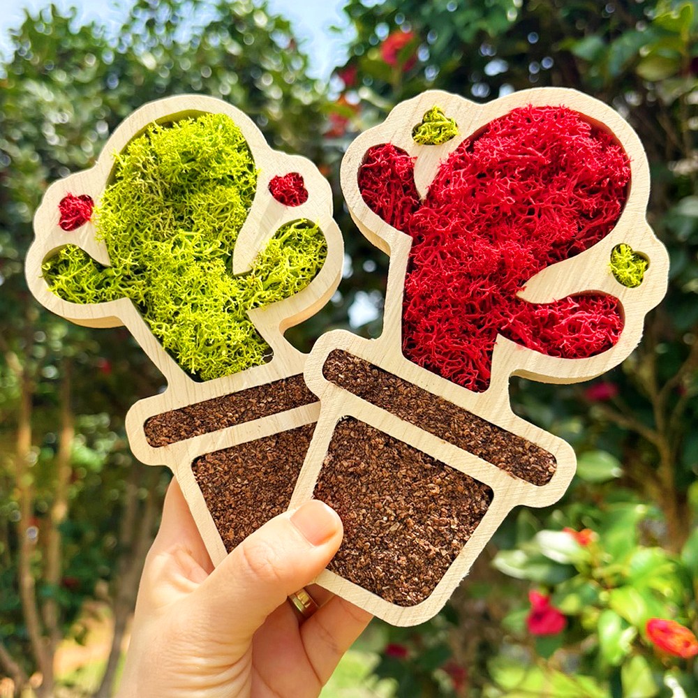 스칸디아모스 화분 만들기 춤추는 선인장 diy 액자 키트 노인 어르신 학생 원예 활동 4,200원