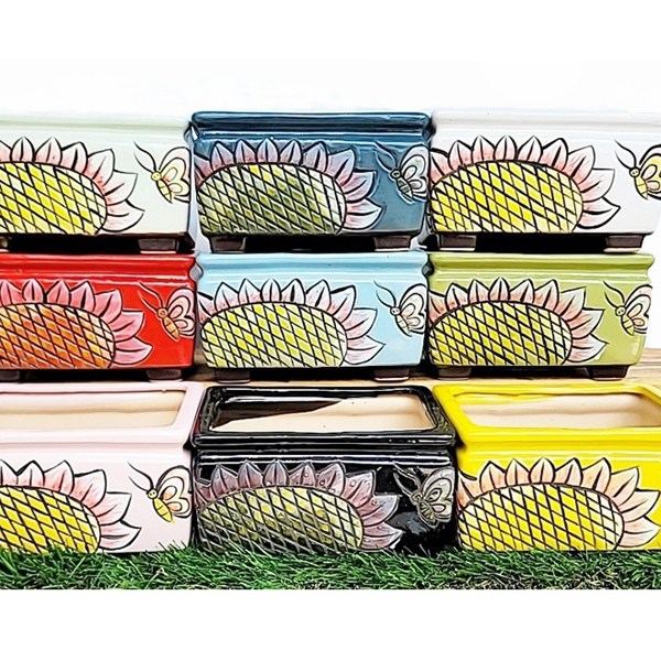 무배 행복한꽃그릇 꿀벌4번 랜덤3종세트 다육이 화분, 3개, 꿀벌4번 37,200원