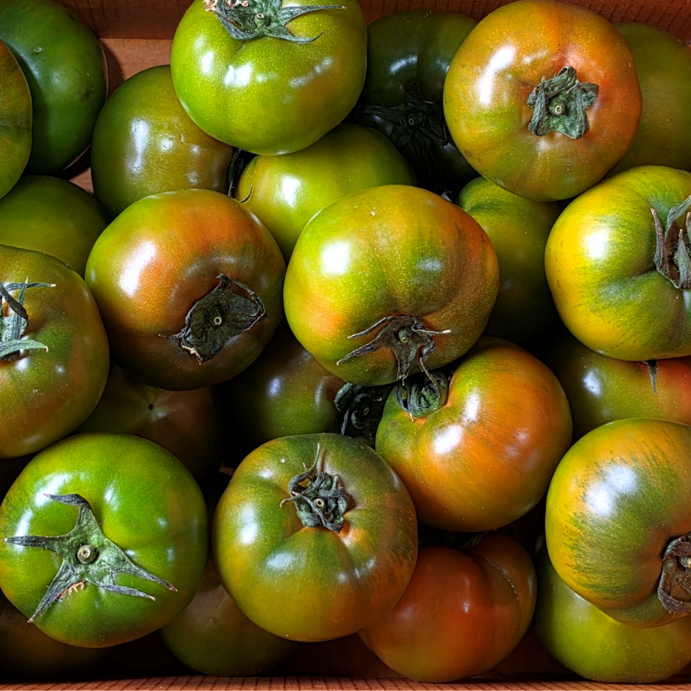 정품인증 대저 토마토 짭짤이 산지직송, 1박스, 2.5kg (로얄 S~2S) 30,310원