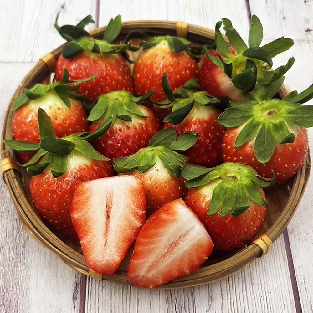 담양 GAP 설향 딸기, 1박스, 1kg 대과 41,900원