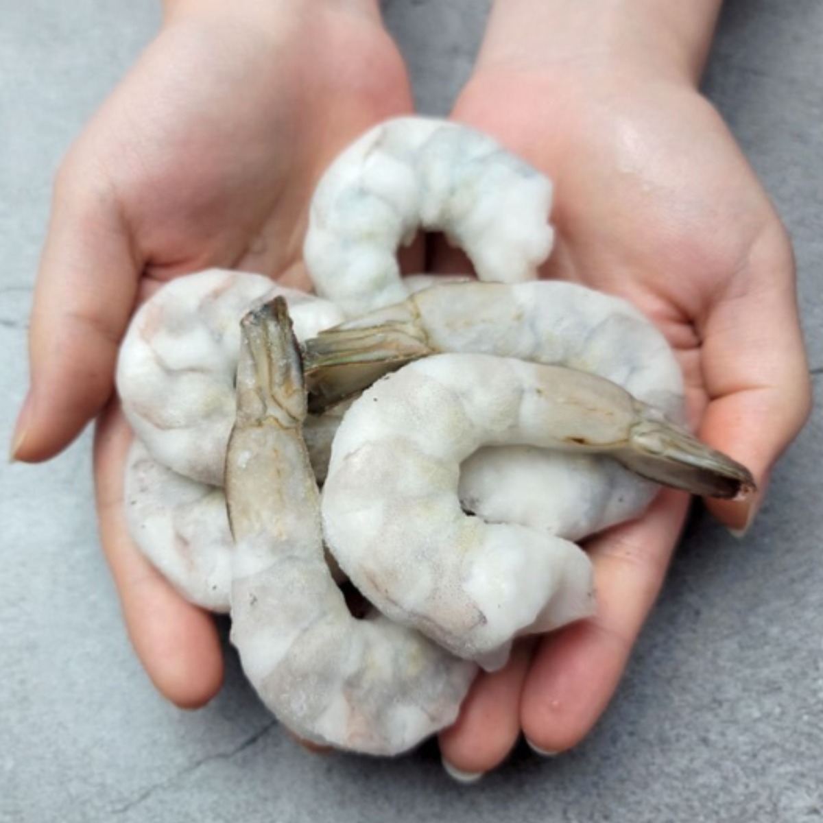 씨기프트 칵테일새우 특품 (생 새우살, 냉동 대용량 깐새우, 감바스용) 900g~1000g, 칵테일새우 대 50-60미, 1개 21,900원