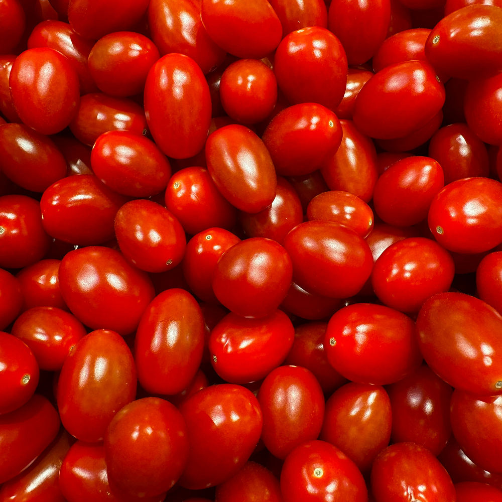 [논산 산지직송] 스테비아 방울토마토2kg 고당도 당일선별, 1박스, 500g x2팩(1kg) 16,900원