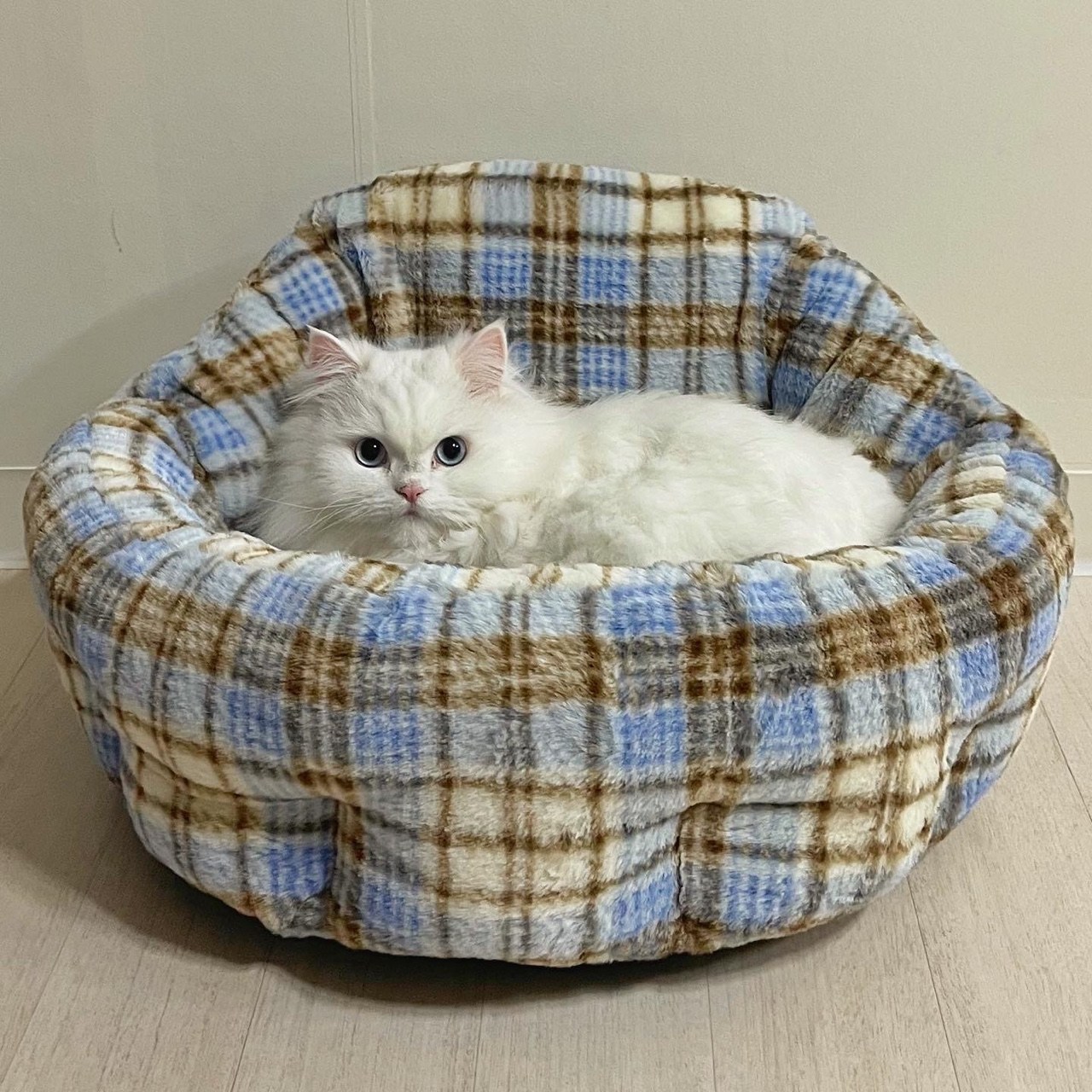 가티가티 고양이 숨숨방석 쿠션 마약 방석 강아지 원형 도넛, 모던 체크, 1개 41,900원