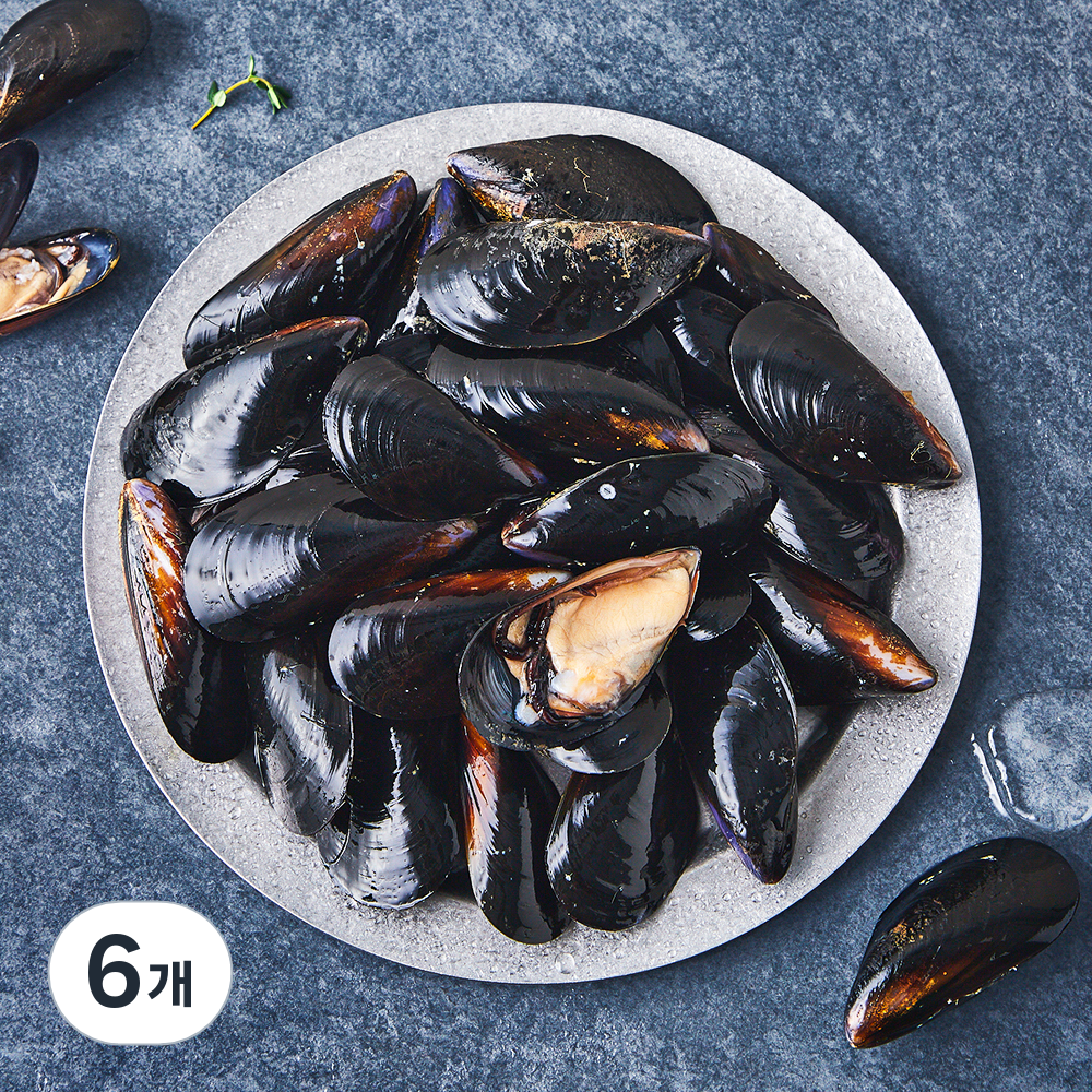 [로켓프레시] 아라보감 산지직송 생물 홍합 (냉장) 19,410원