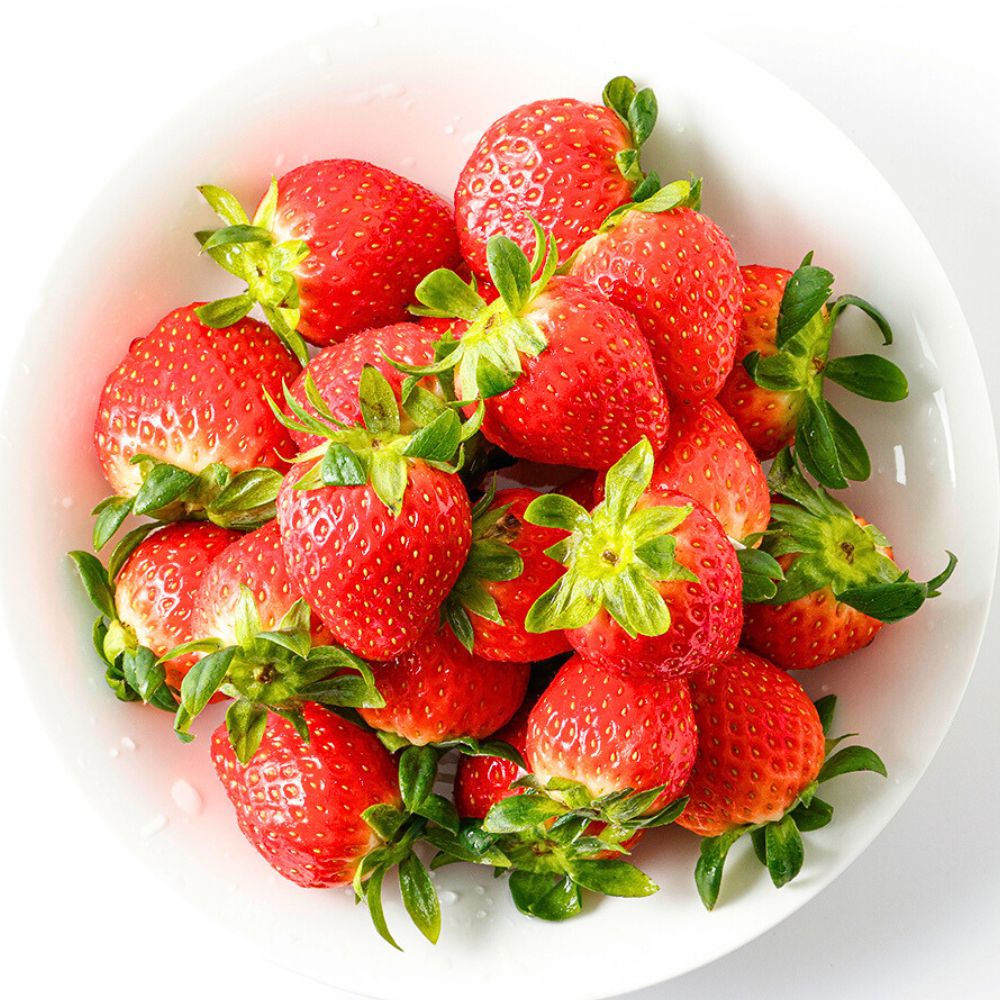 달콤한 설향딸기 토경 논산딸기 특품 산지직송 26,800원