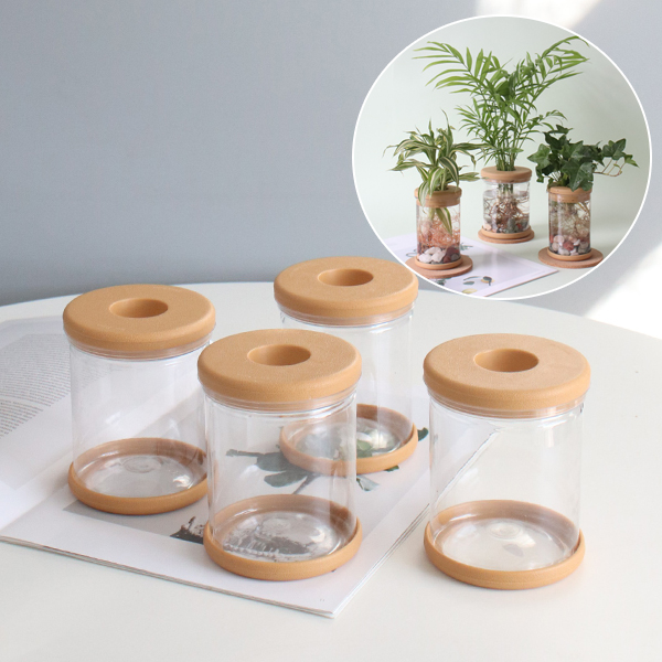 모리앤 실용적인 수경화분 4개세트(대) 12,900원