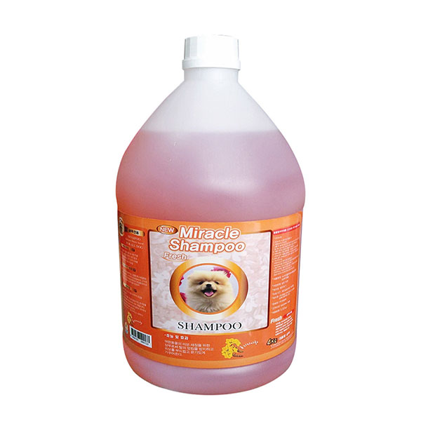 미라클 순 대용량 업소용 샴푸전용-전견용 19,100원