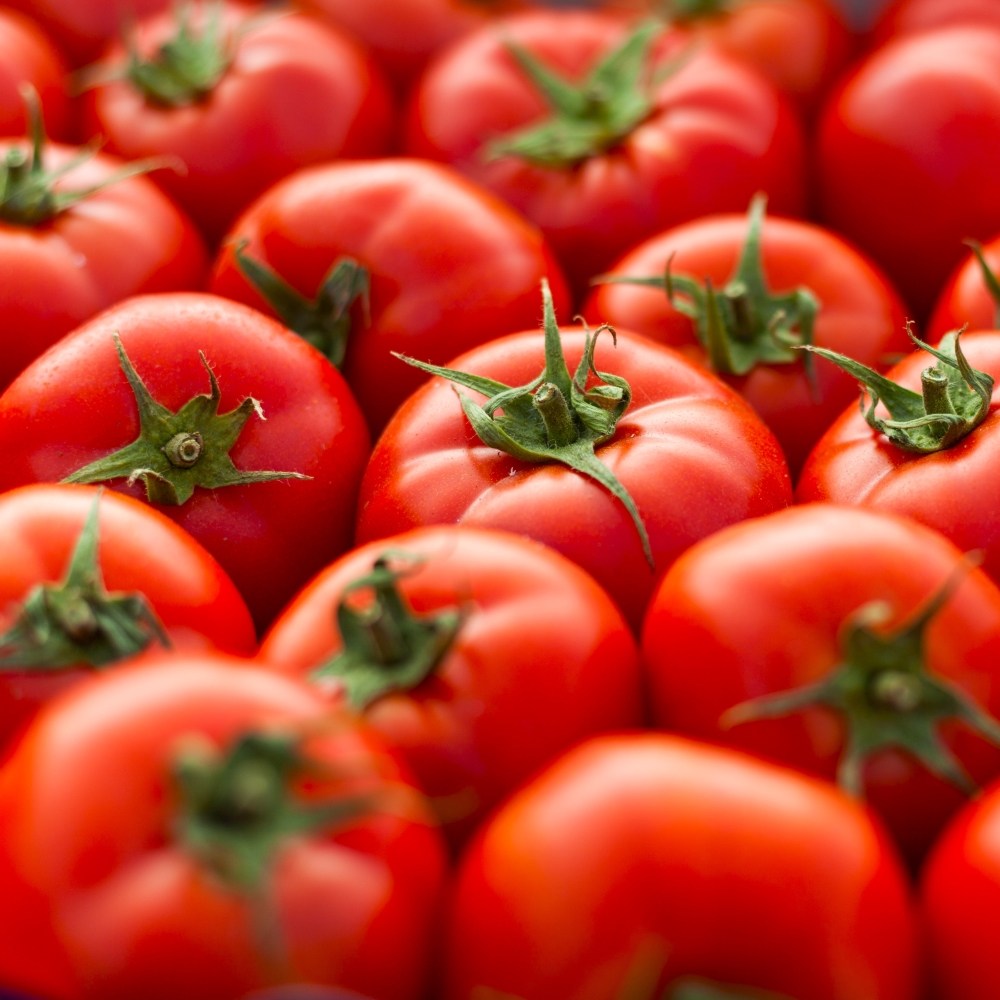 특품종 만족도1위 파격초특가 빨간 완숙토마토 18,900원