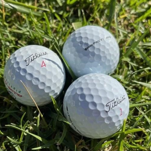 타이틀리스트 로스트볼 인쇄볼 20알 A A+급 패키지 29,900원