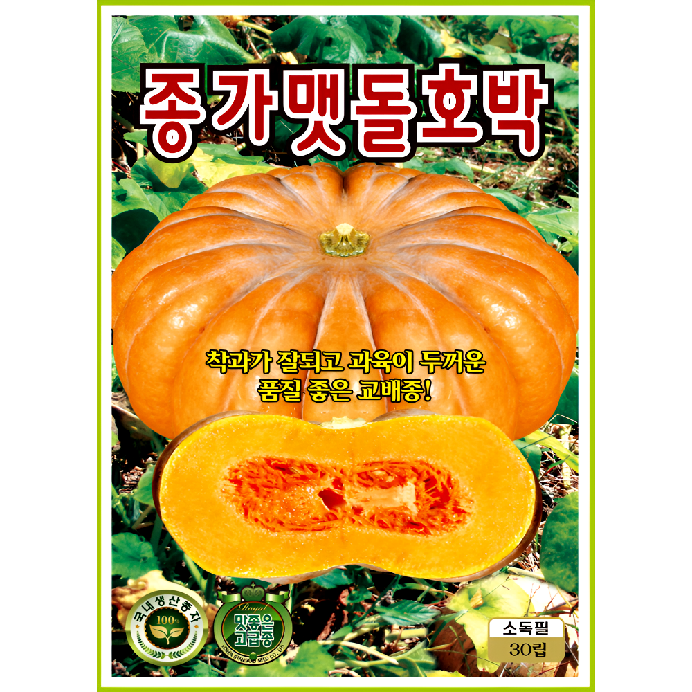 KS종묘 종가맷돌호박 씨앗 30립 교배종 단호박 종자 ks 6,000원