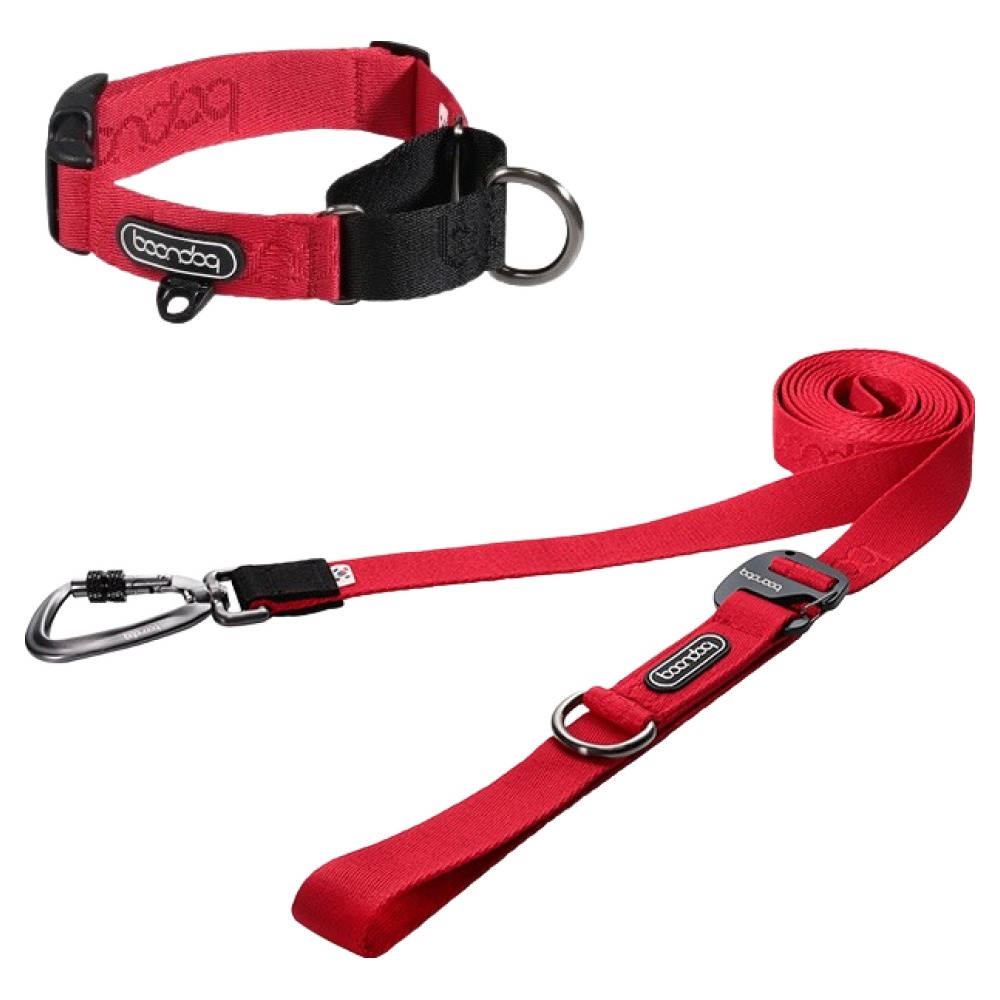 분독 강아지 카라비너 플레이 리쉬 250cm + 마틴게일 목줄 세트 77,900원