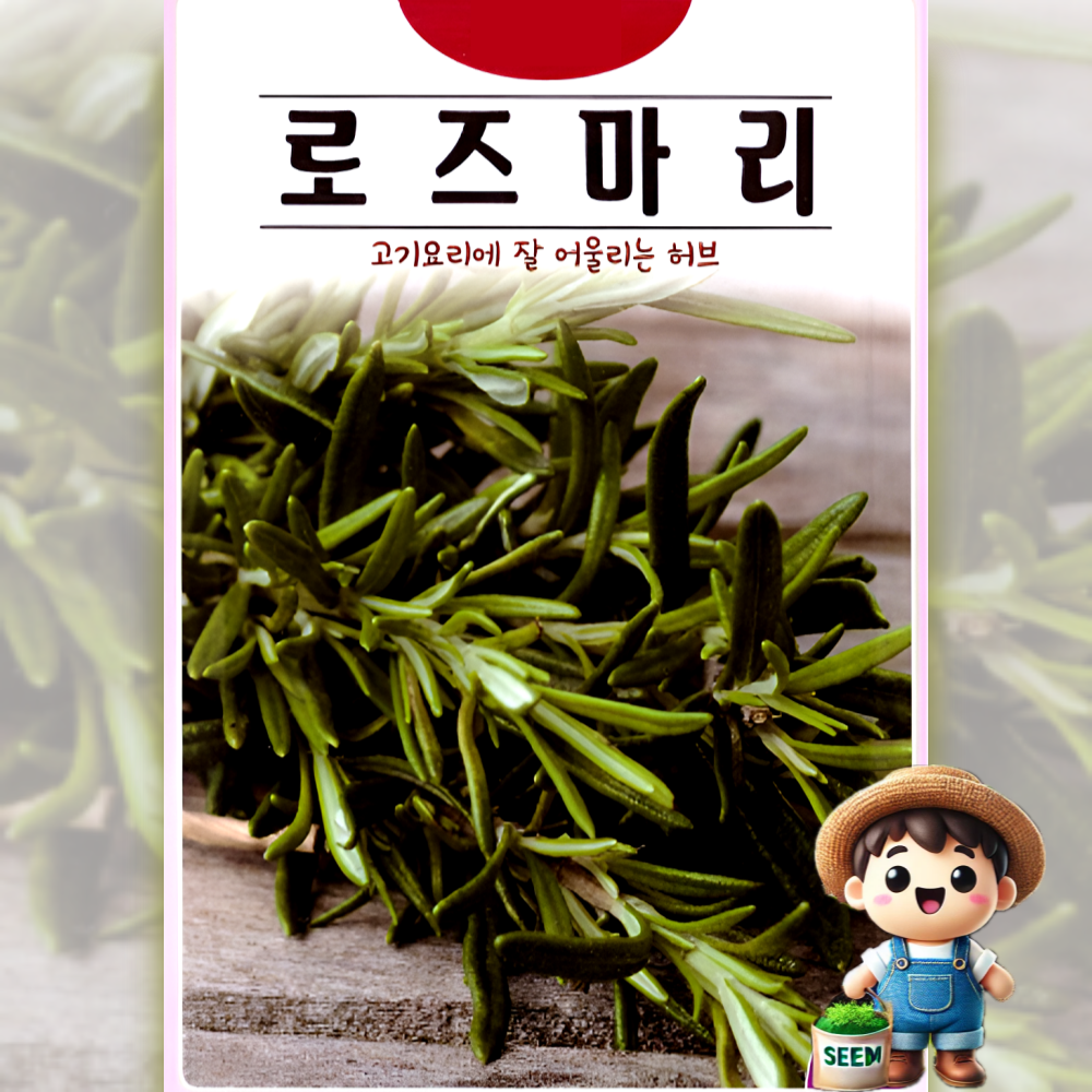 로즈마리 씨앗 (40립) 고기요리에 잘어울리는 허브 꽃 관상 약용 차 종묘 종자 씨 영웅, 1개 3,000원