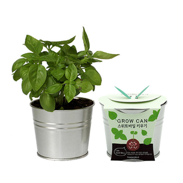 아트박스/틔움세상 new그로우캔 화분세트_스위트바질 6,000원