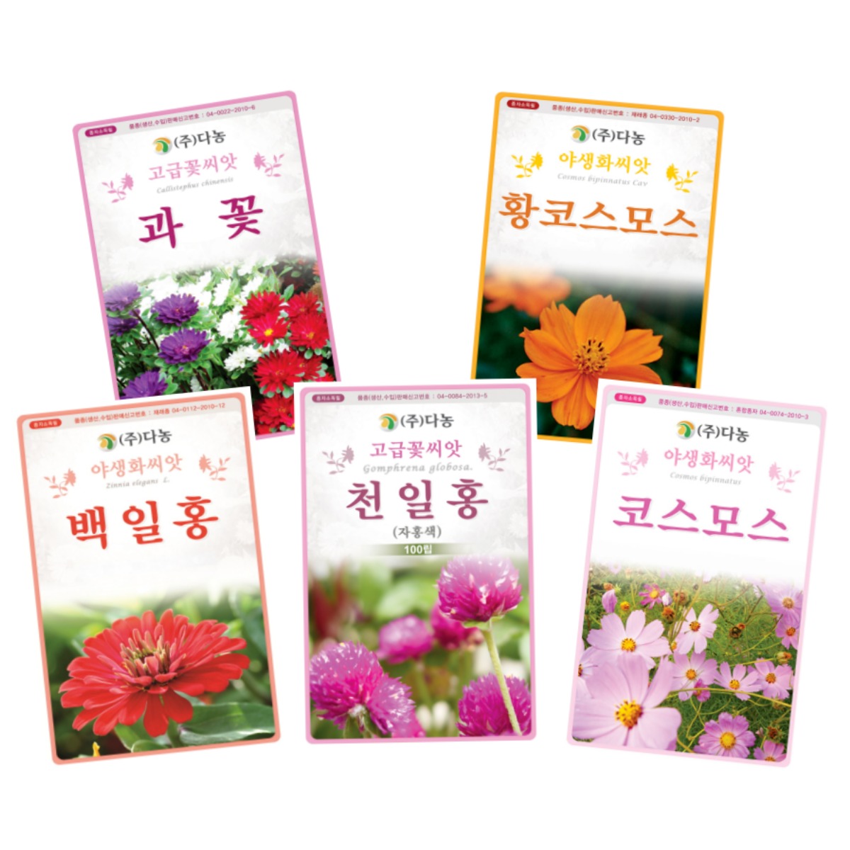 주주씨앗 키우기쉬운 꽃씨 5종세트 다농 씨앗 천일홍 백일홍 코스모스 과꽃 황색코스모스 봄 여름 가을, 1개 11,500원