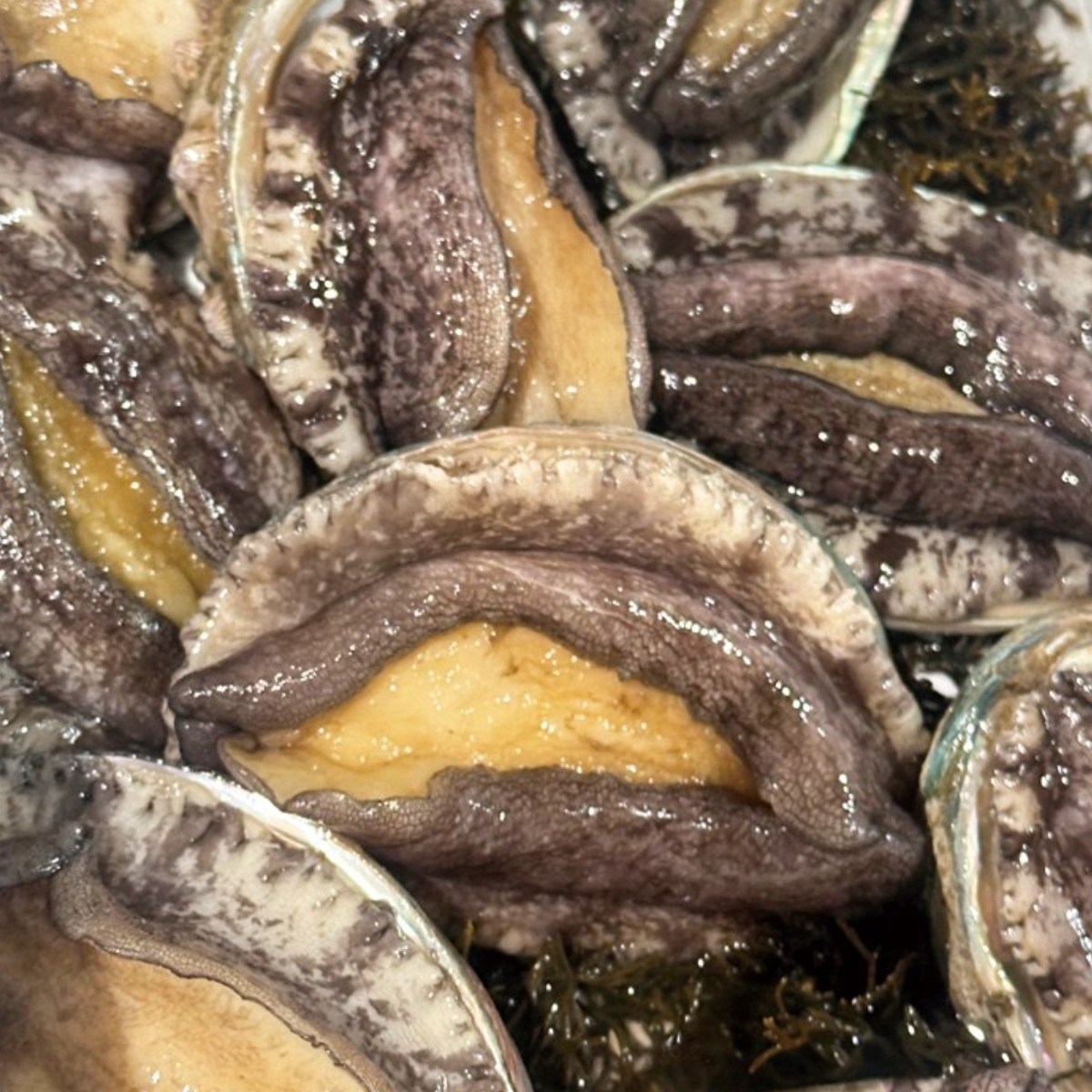 완도 전복 왕특대 직거래 1kg 26,090원