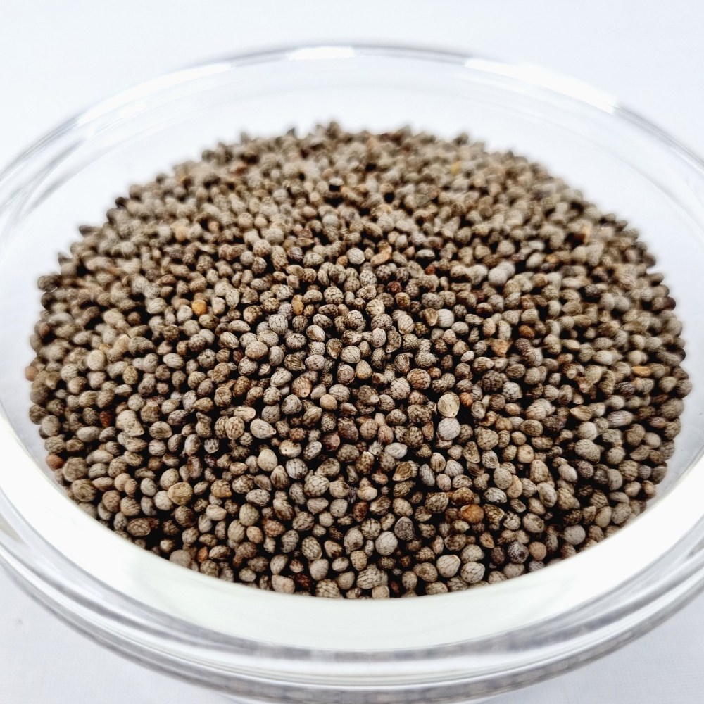 애니몰 깨끗한 들깨 300g 앵무새 사료 알곡 먹이 모이 새사료 7,900원