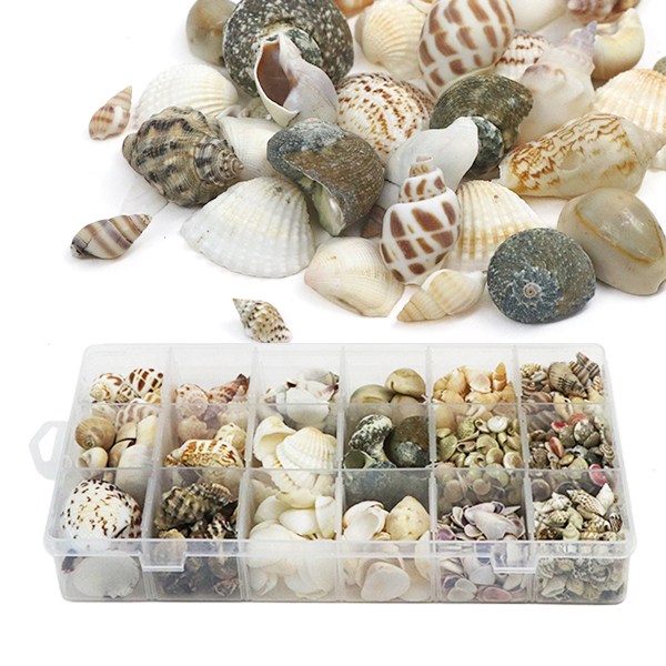 (재미스쿨) DIY 조개껍질 18종 혼합세트 500g (대용량) 조개껍데기 17,800원