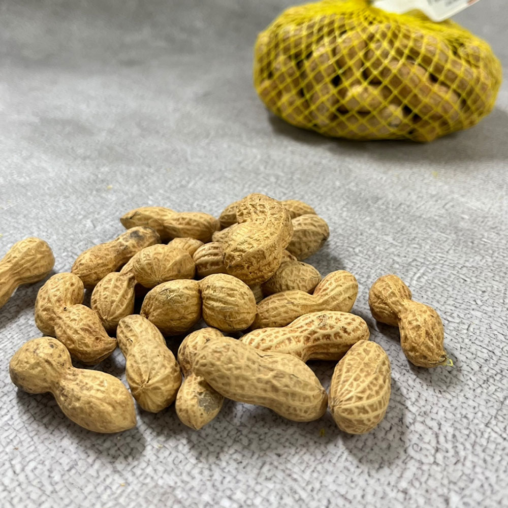 국산 볶은피땅콩 25년 햇땅콩, 1개, 200g 9,900원