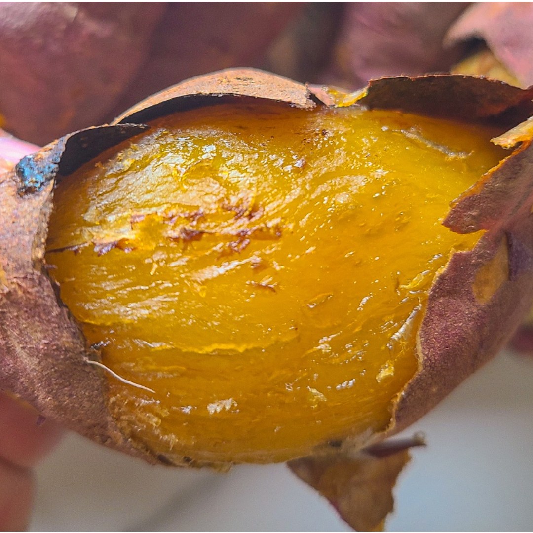 [당도53brix] 더좋은 호박고구마 산지직송 29,950원