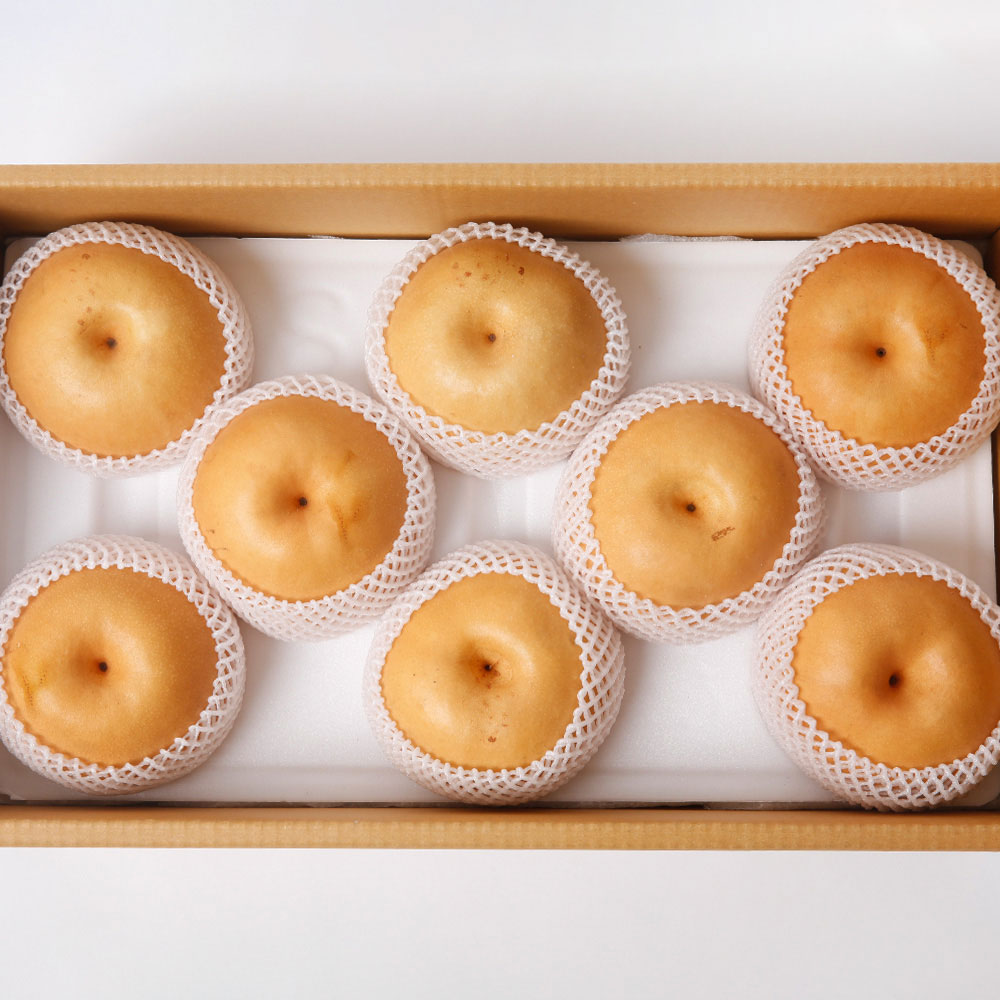 과일꾼 산지직송 나주배 ( 가정용 / 과일선물세트), 1박스, 가정용 5kg 9과내 18,900원