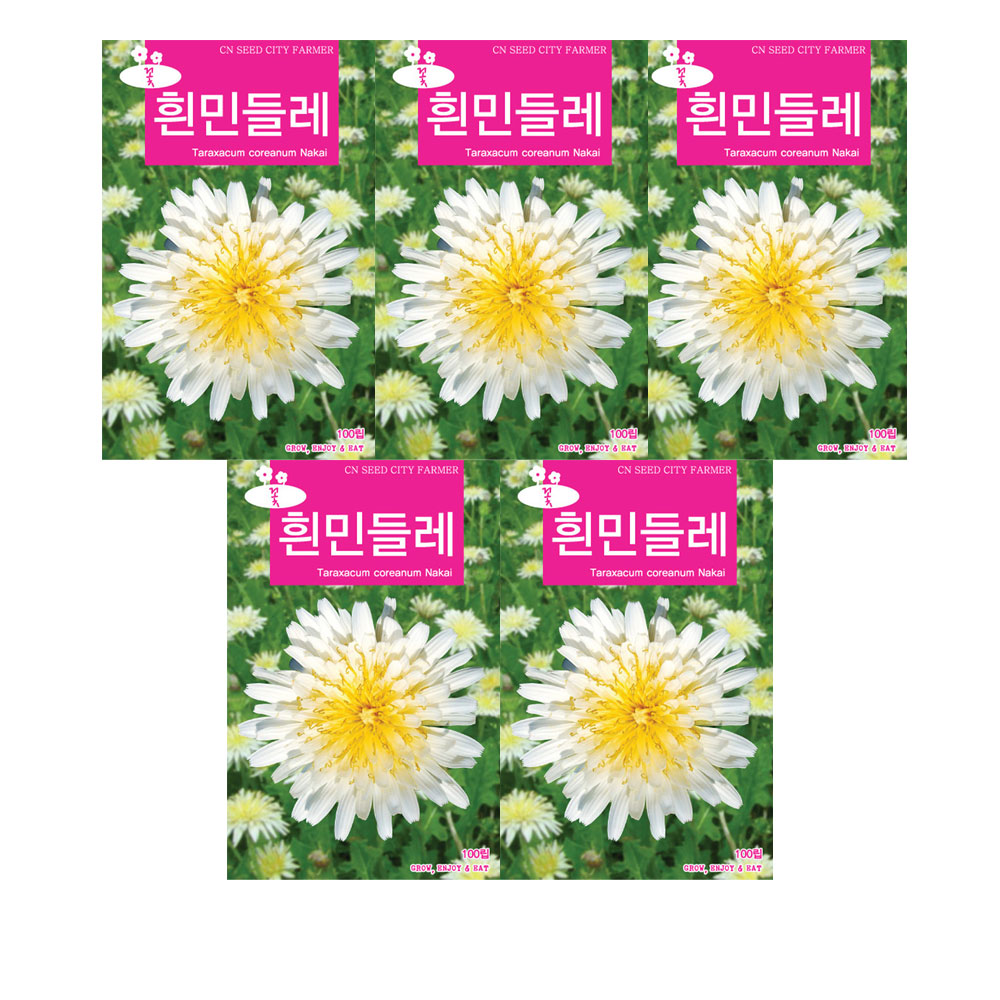 모두다 꽃씨앗 흰민들레씨앗(100립), 5개 14,250원