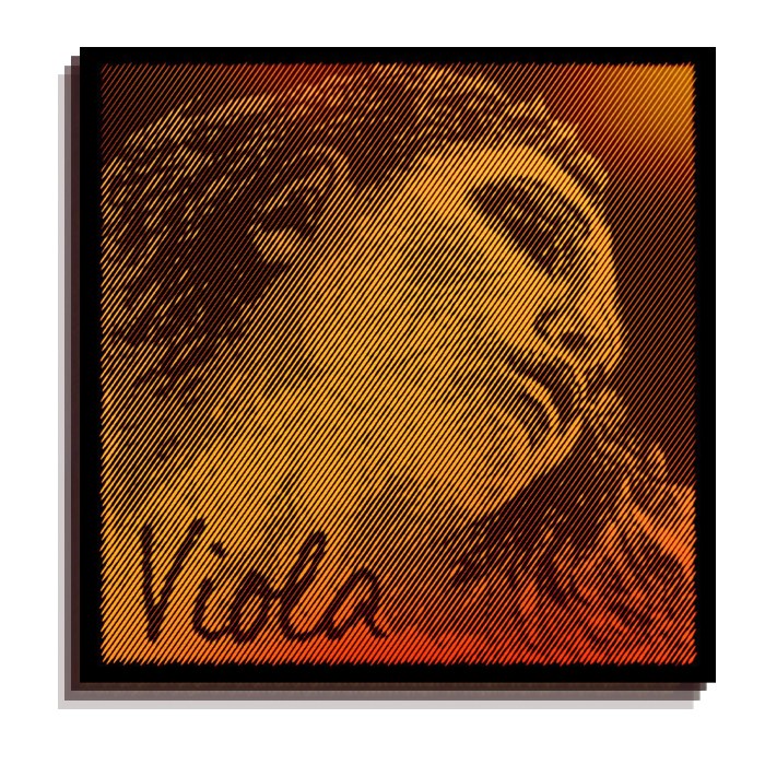 피라스트로 에바피라찌 골드 비올라 현 세트, 1개 229,000원