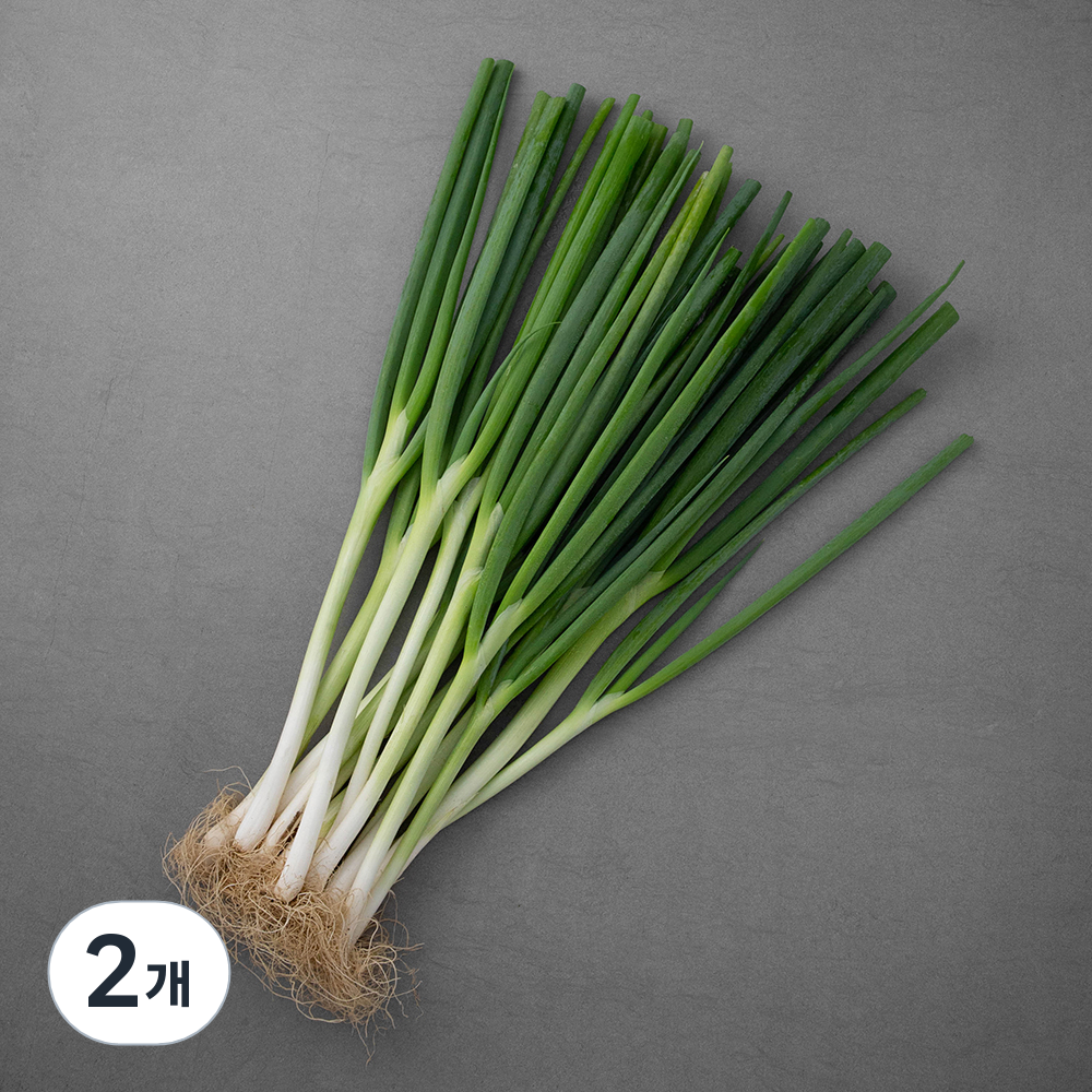 국내산 친환경 흙대파 11,620원