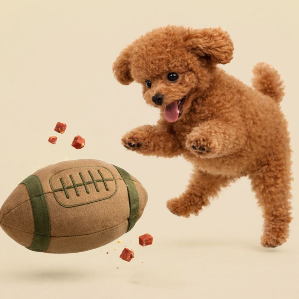 디퓨리 노즈럭비 움직이는 노즈워크 튼튼한 럭비공 강아지 장난감 1세트 대형견 가능, 브라운/그린, 1개 39,500원