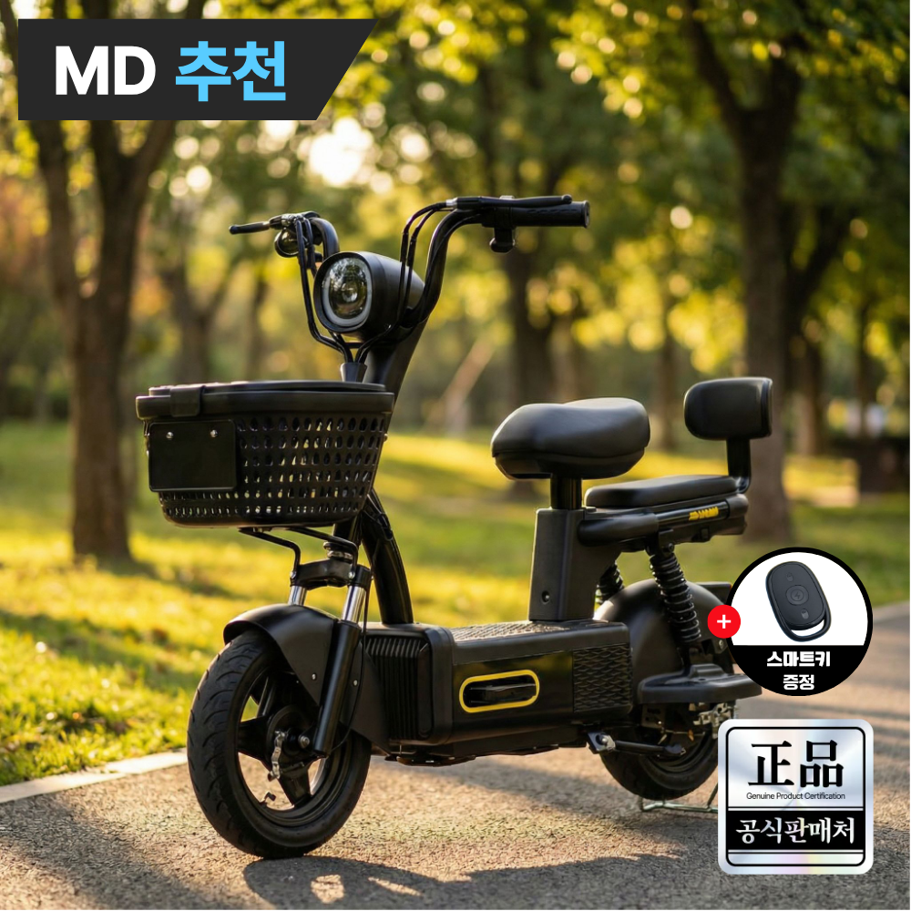 루토 전기자전거 26년 신형 고출력 전동 스쿠터 자토바이 배달 출퇴근 오토바이, 블랙, 경량스틸 347,000원
