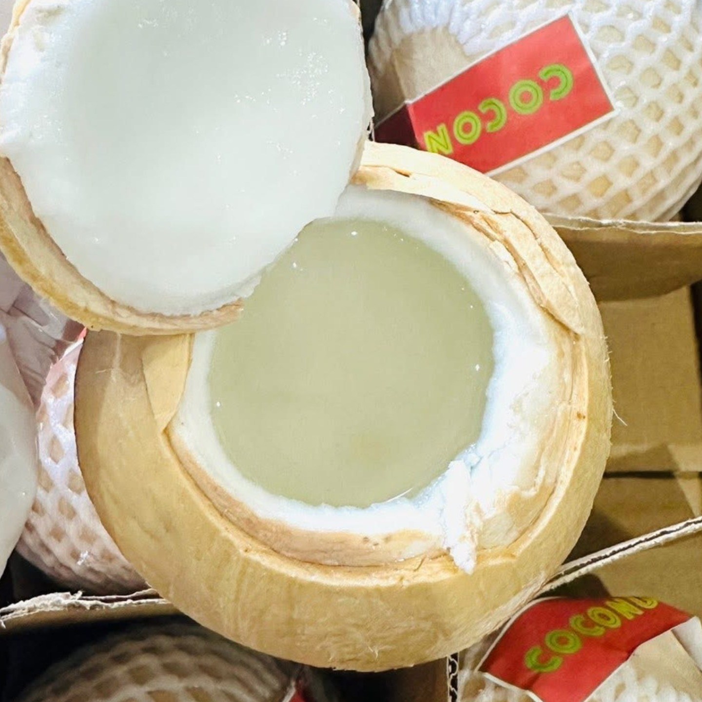 베트남 직수입 생 코코넛 600g (껍질 제거), 1박스, 12 27,900원