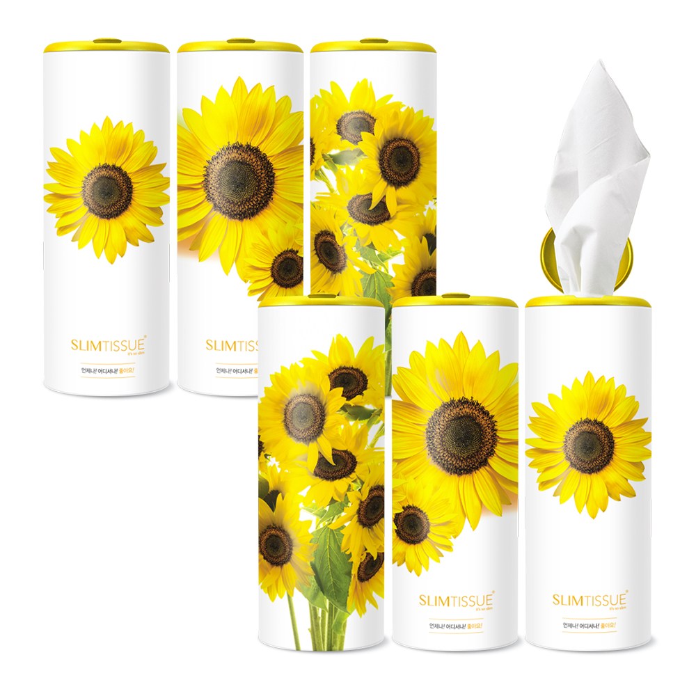 슬림티슈 6P [해바라기1] / 차량용 휴대용 캔티슈 대나무 원통형 원형 미니 휴지 화장지 집들이 재물복 개업선물세트 풍수인테리어 27,200원