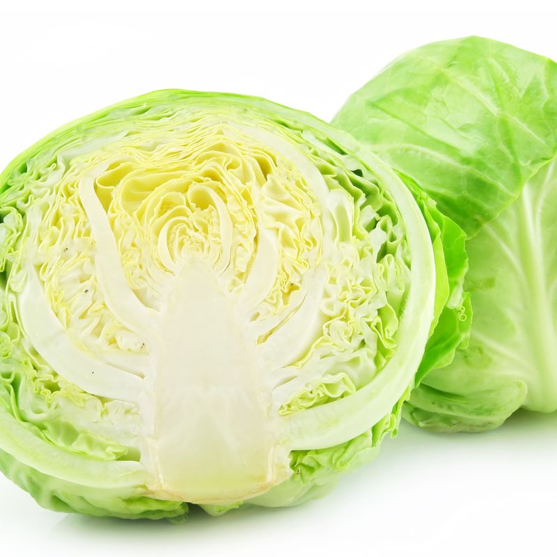 [당일출고] 국내산 제주 강원 양배추 아삭하고 달콤한 양배추, 1.5kg, 1개 6,400원