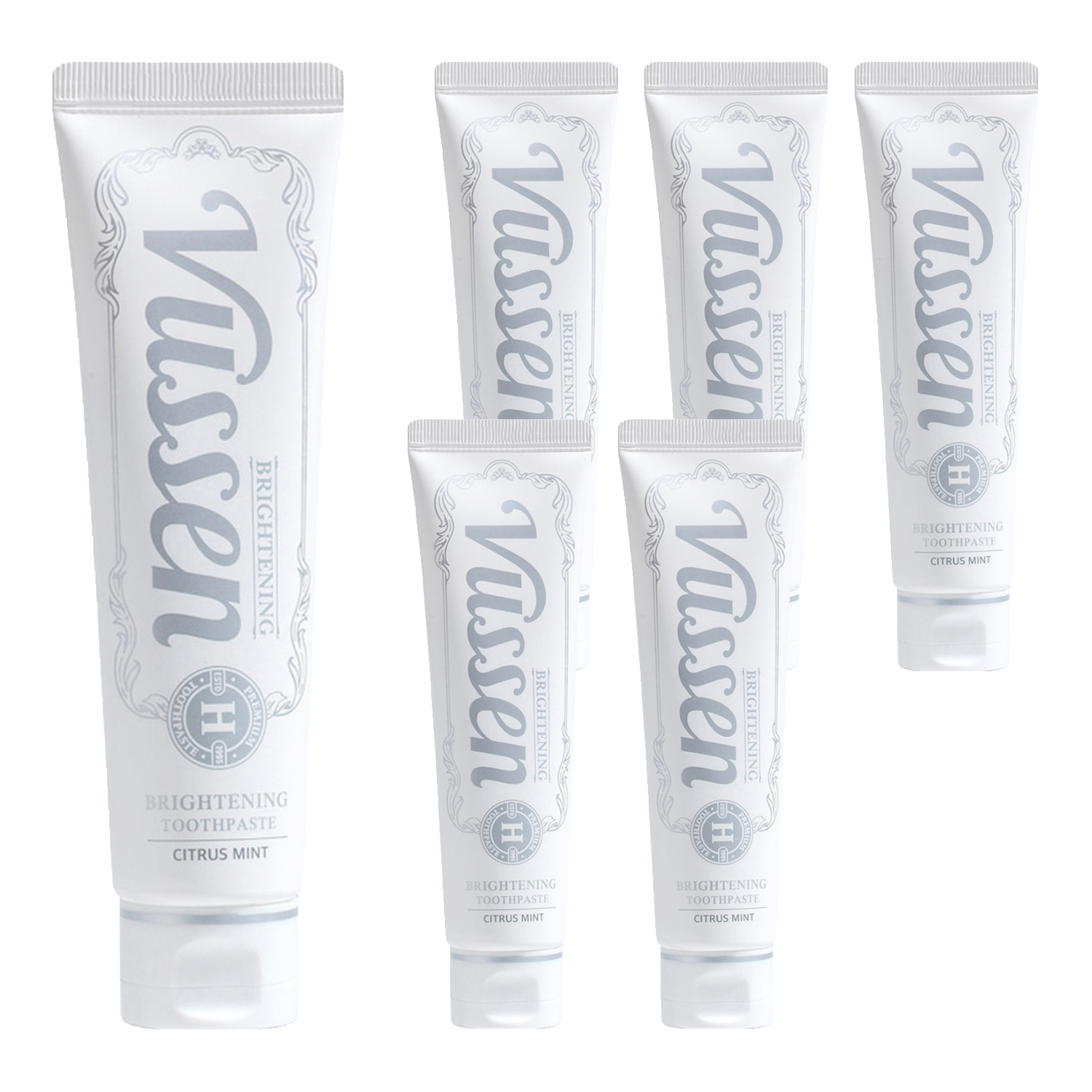 뷰센 뉴 에이치 치약 시트러스민트향, 120g, 6개 37,200원