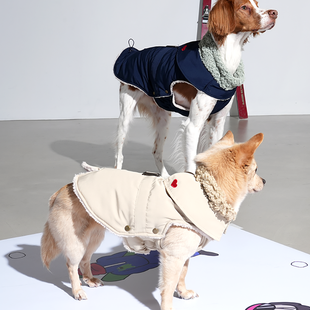 (M-5XL) 퍼피갤러리 하트 트렌치 패딩 코트 강아지코트 대형견옷 제라미펫 53,000원