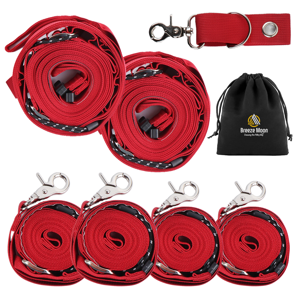 브리즈문 3세대 고강도 타프 웨빙 스트랩 메인 2p + 사이드 4p + 폴대 아일렛 고리 + 파우치 풀세트 39,800원