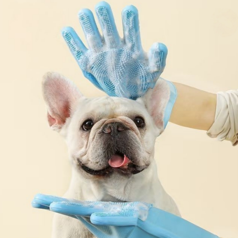 모디크 반려동물 목욕장갑, 1세트, 블루 5,500원