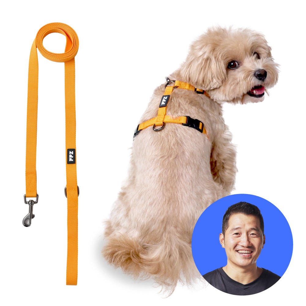 강형욱 추천 퍼피즈 어드벤처 후크형 가슴줄+ 2m 리드줄 세트, 1세트 60,800원